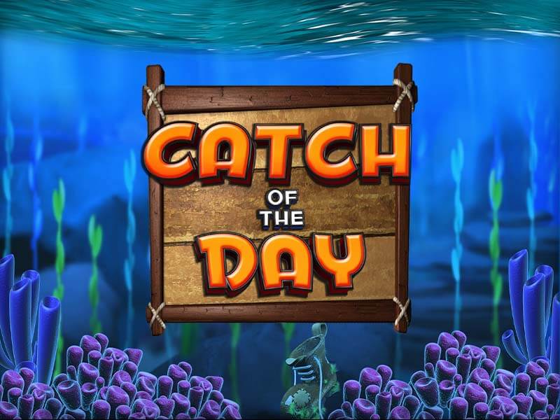Catch of the Day eSports Match Background